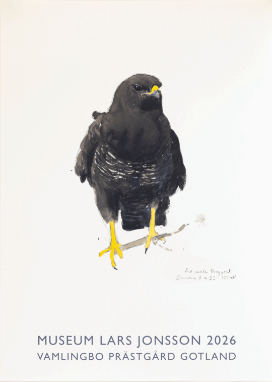 Affisch 2026 50x70 cm